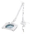 Magnifying Lamp