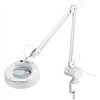 Magnifying Lamp